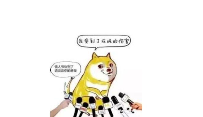 健身房520活动